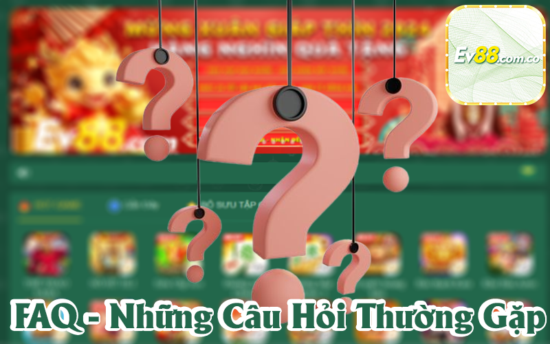 Những câu hỏi thường gặp