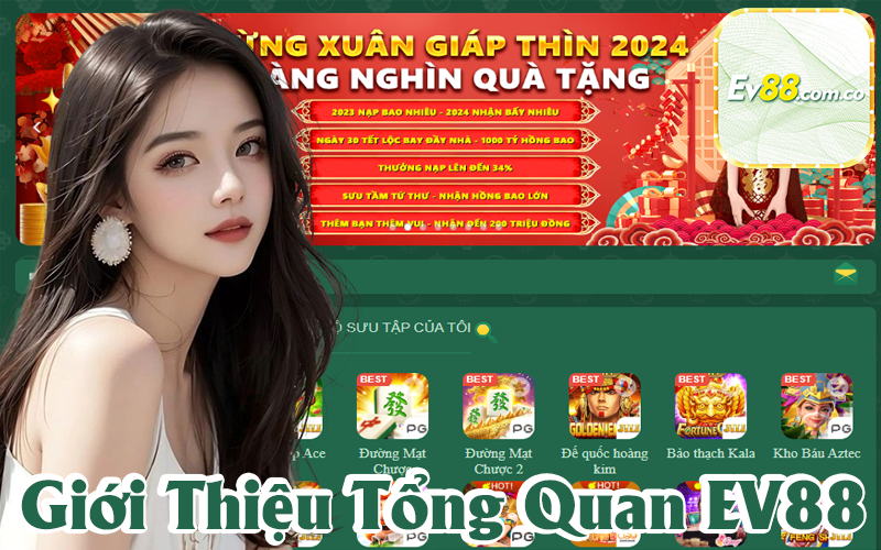 Giới thiệu tổng quan