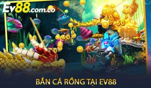 Bắn cá rồng