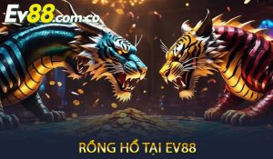 Rồng Hổ